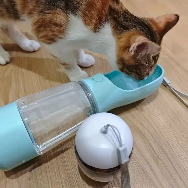 Termo para Mascotas con Alimentador Integrado – Agua y Comida Siempre Frescas para tu Mejor Amigo